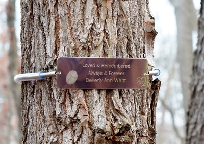 Finger Print Tree Plaque